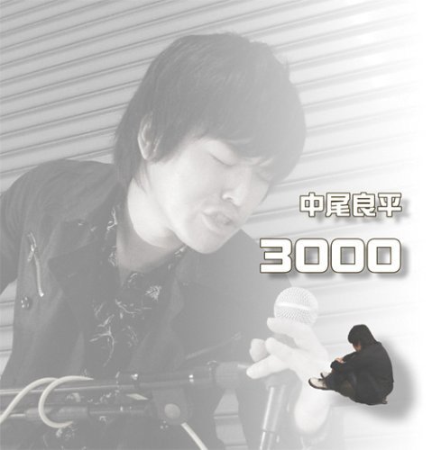 3000
